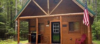 Serene Cottage Escape in Wells, NY ADK Peace, Pines & Possibility. Dogs Welcome!