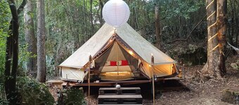 Treehouse in rural forest area, charming Tipi Glamping tent in downtown area