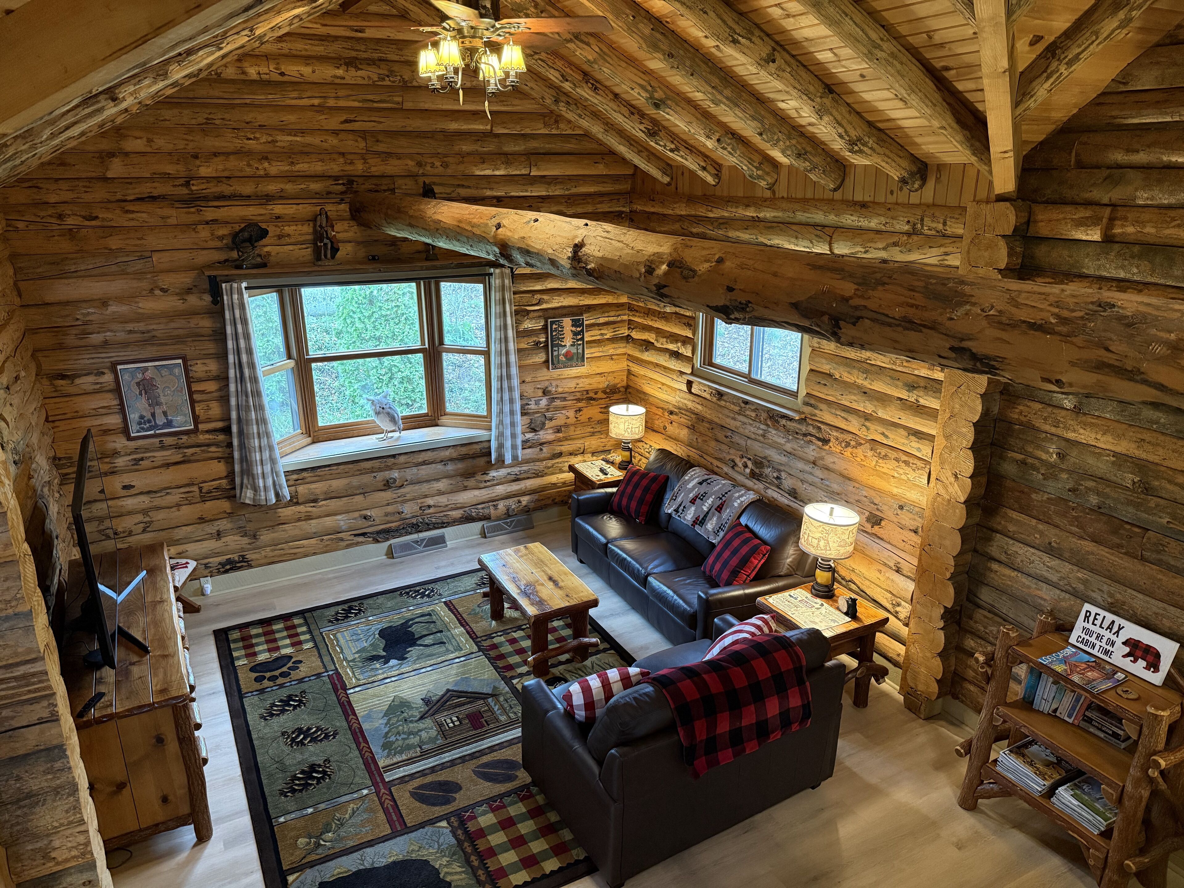 Smart TV, fireplace, ping pong, books