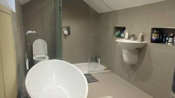 Shower, hair dryer, towels, soap