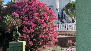 Un patio con un árbol de flores rosadas, un edificio blanco con una torre redonda y un muro verde con un balcón blanco.