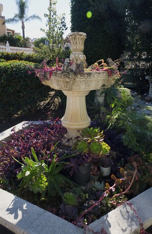 Área da propriedade