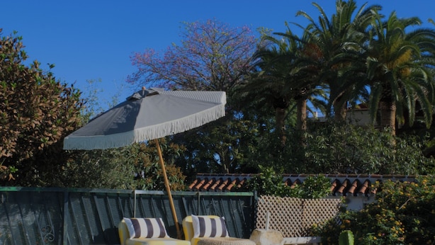 Un área de piscina con escalones que bajan hacia un fondo arenoso, rodeada de sillas de descanso y una planta de cactus.