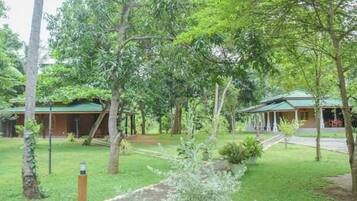 Àrea exterior de l'allotjament