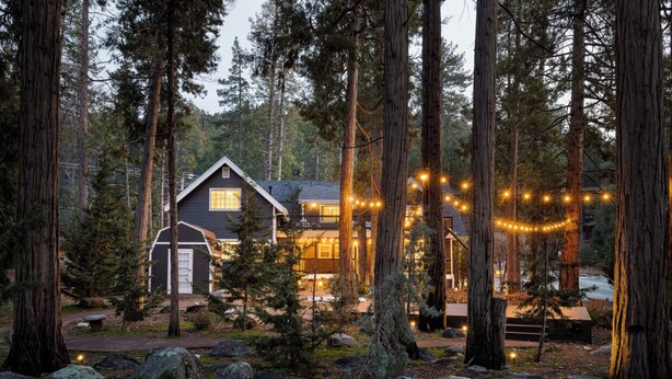A cabin surrounded by tall trees with string lights. - Harvey House (Idyllwild)