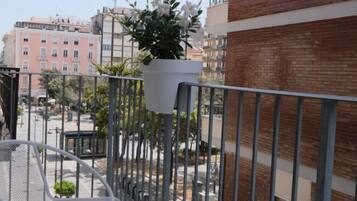 Vista desde la propiedad