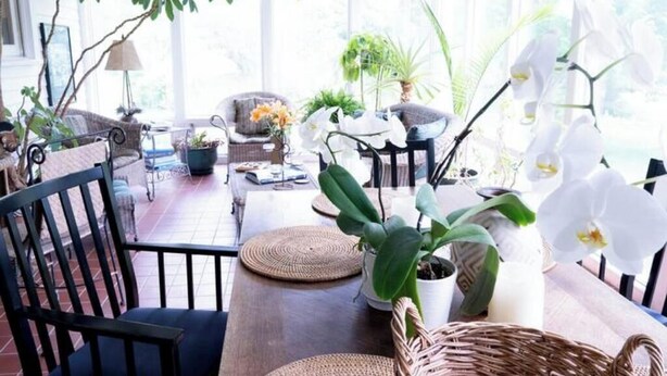 A well-lit room with a wooden dining table, chairs, and potted plants. - Harbor Hill Inn - Penzance Suite (Pepin)