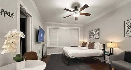 Elevated Hyde Park Studio Unit on Dorchester Ave
