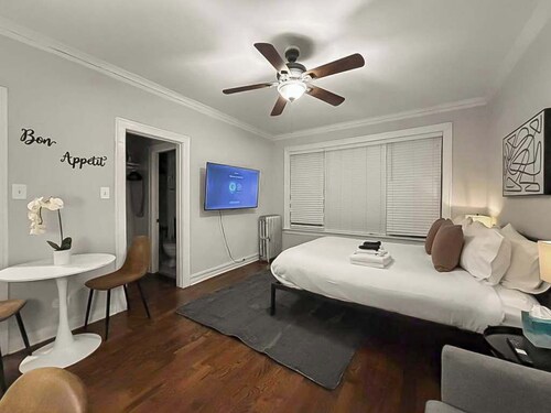 Elevated Hyde Park Studio Unit on Dorchester Ave