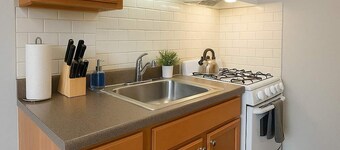 Cozy Studio in Hyde Park-Walk to Lake & University