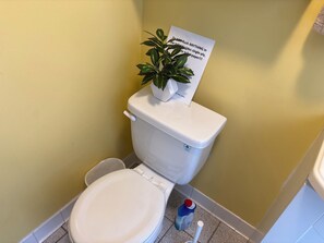 Haartrockner, Handtücher, Seife, Toilettenpapier