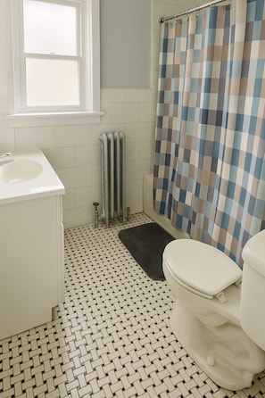Shower, hair dryer