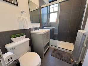 Shower, hair dryer