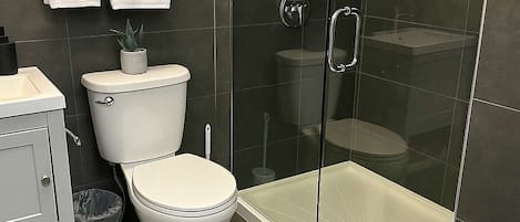 Shower, hair dryer