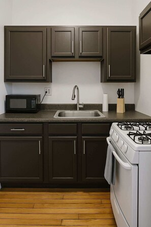 Fridge, oven, stovetop, coffee/tea maker - Clean & Equipped 1BR Apt (Chicago)