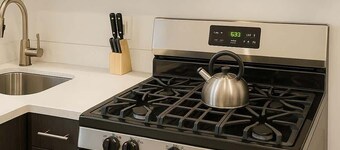 Stylish 1BR in West Loop