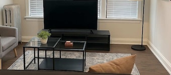Bright & Cozy 1BR Near UChicago