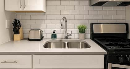 1BR Chic Apt in Downtown Chicago