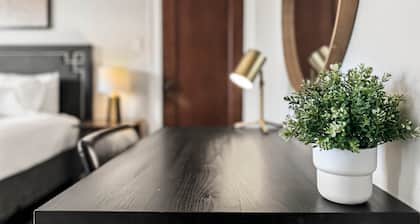 Charming Sunlit 1BR Apartment