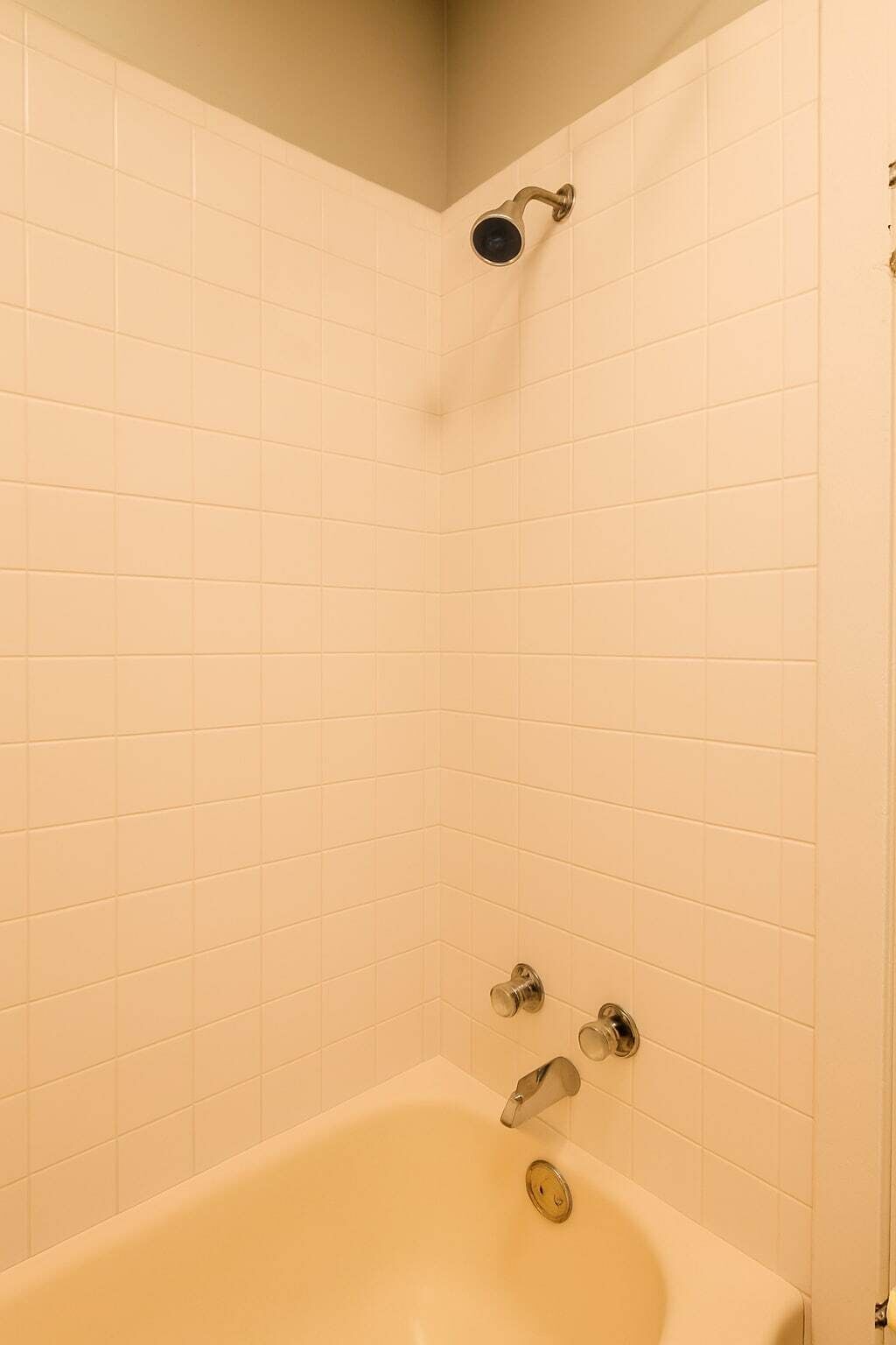 Shower, hair dryer
