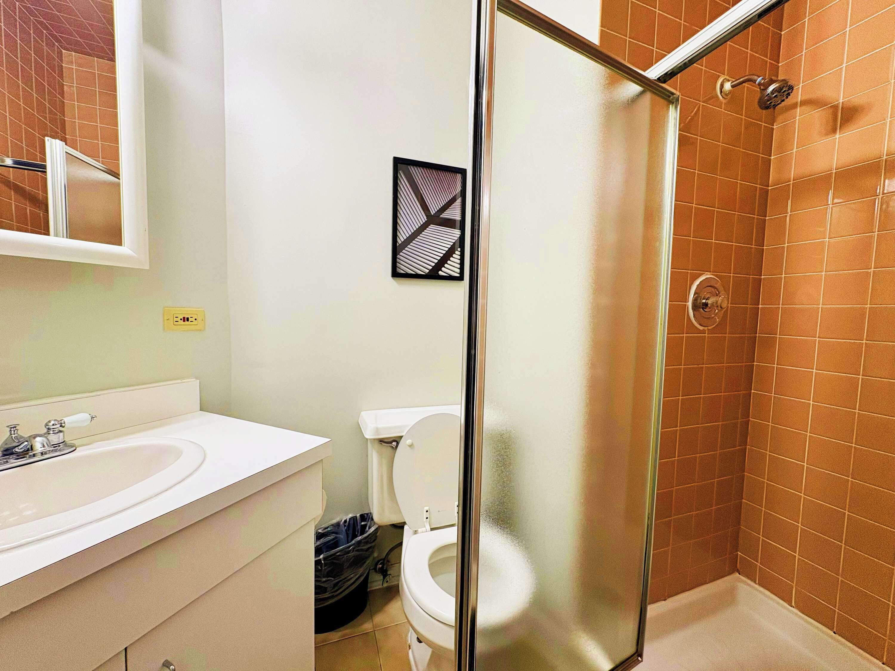 Chuveiro, secador de cabelo, toalhas de banho 