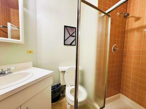 Shower, hair dryer, towels - Paradise 1BR Apt in Lincoln Park (Chicago)