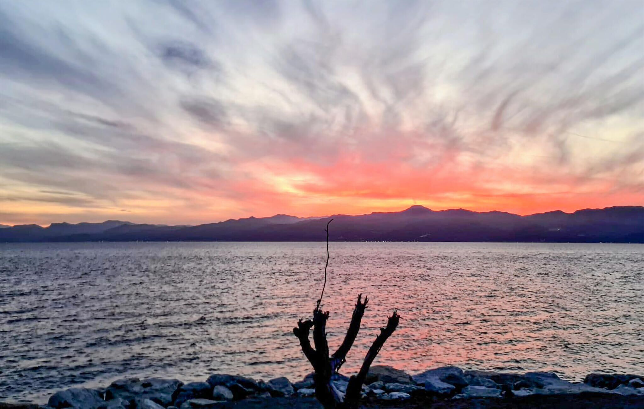 Een zonsondergang boven een kalm meer met bergen in de verte en een kale boom op de voorgrond.
