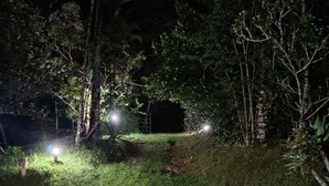 Een buitenruimte in de avond met kunstmatige verlichting, een grashelling en bomen.