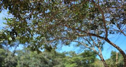 Ecological reserve with 7 waterfalls - Vila Verde