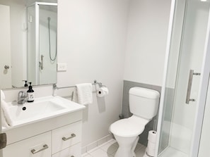 Shower, eco-friendly toiletries, hair dryer, towels