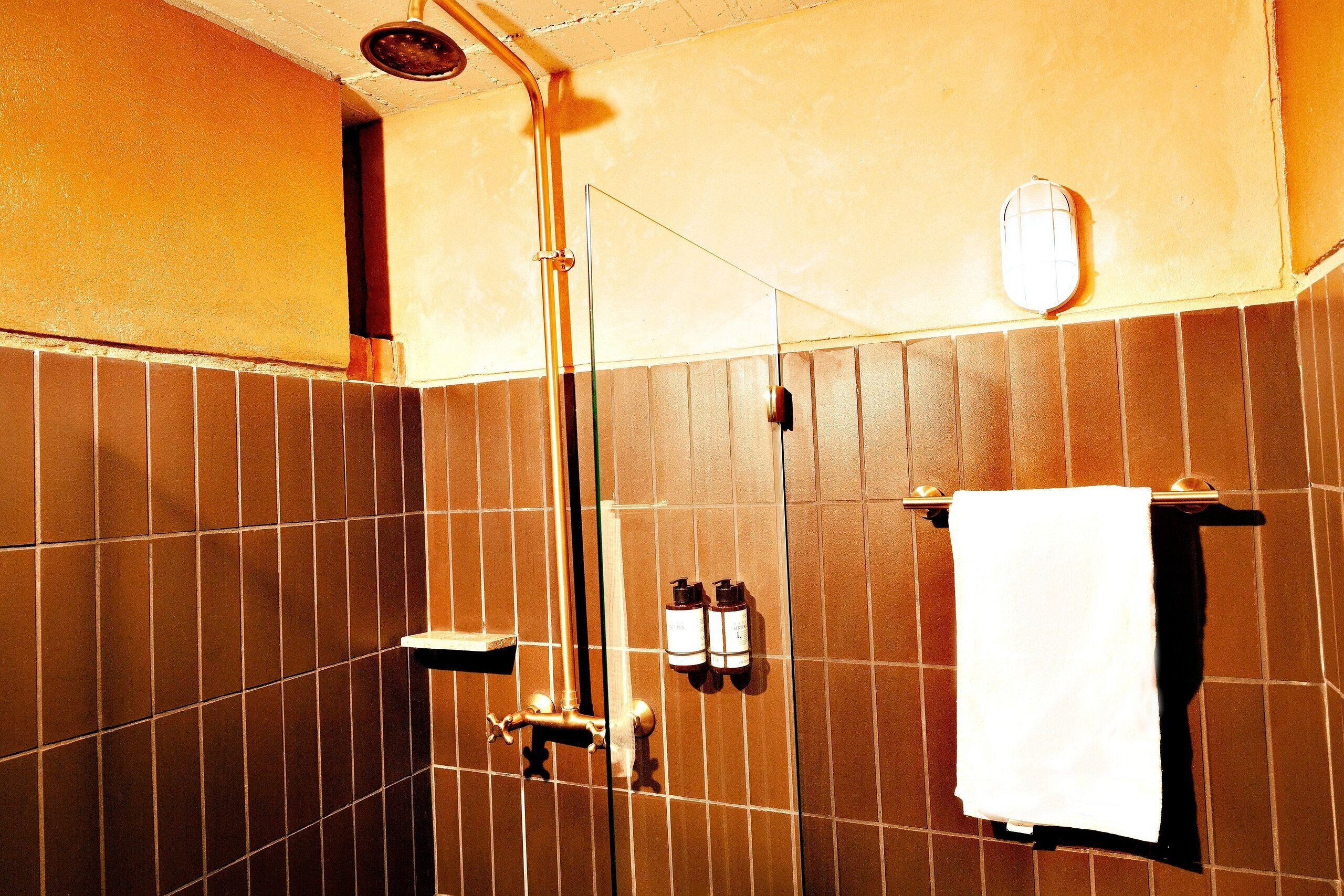 Een badkamer met bruine tegels, een douche, een handdoekhouder en twee flessen shampoo.