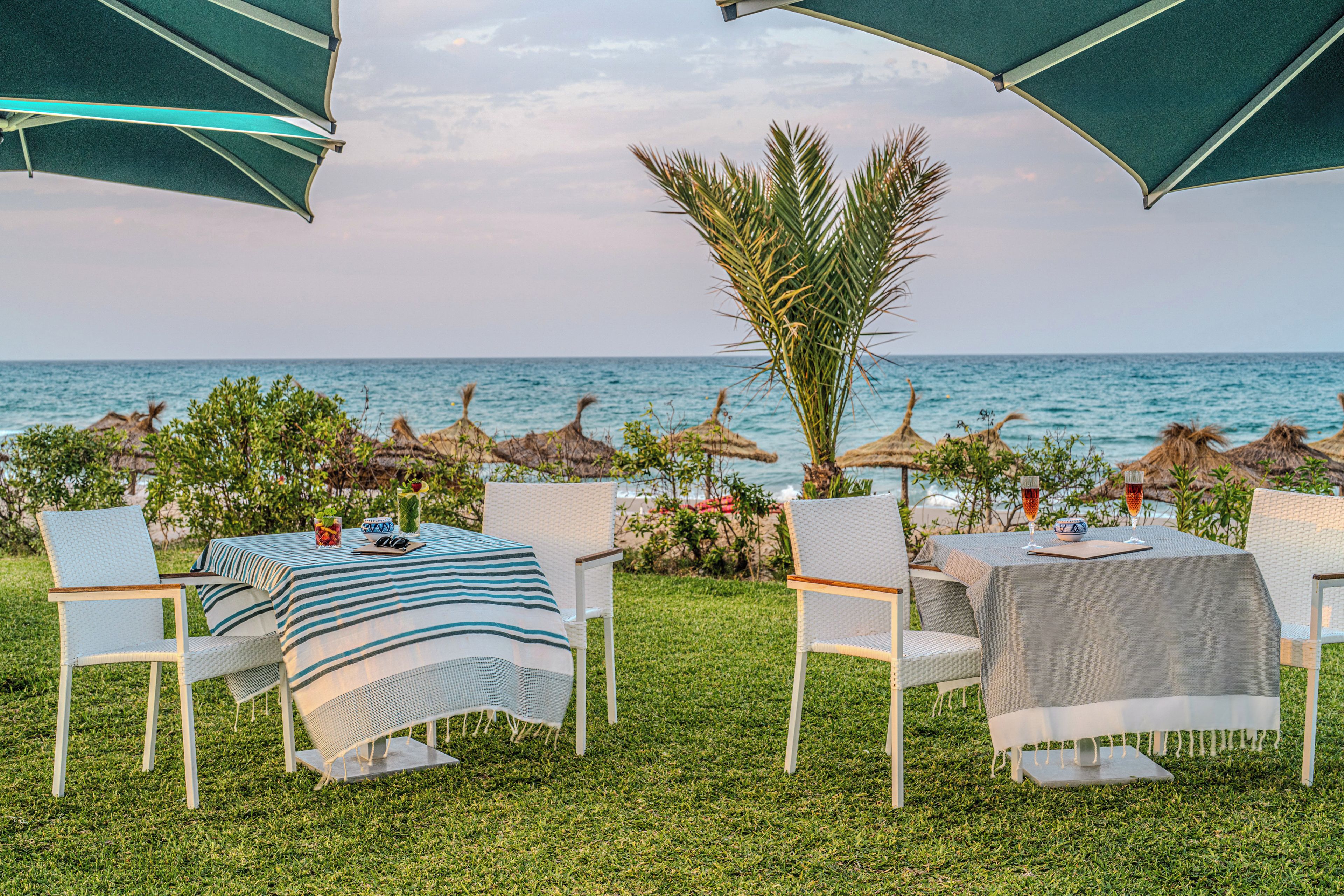Ein Außenbereich zum Essen mit Tischen und Stühlen, eine Palme und Blick aufs Meer.