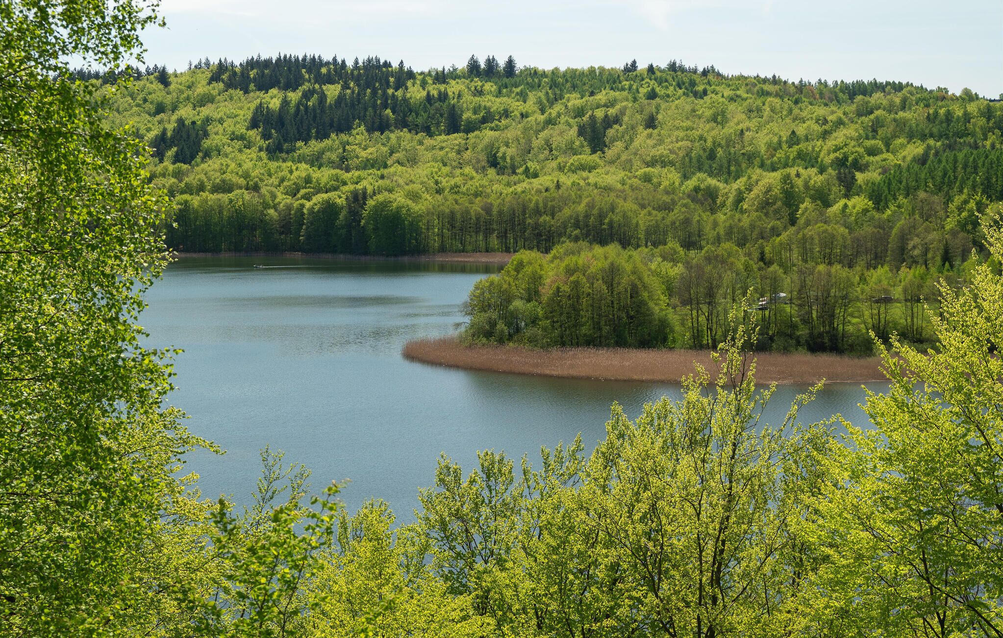 A lake surrounded by dense forest and hills.