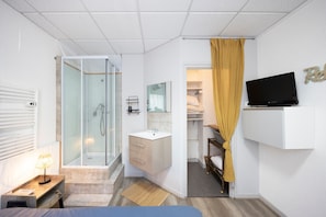 A modern hotel room with a shower, sink, mirror, TV, and a bed. - 10 mins from annecy, apartment apartment near the lake (Sevrier)