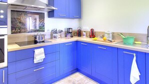A modern kitchen with blue cabinets, stainless steel appliances, and a window with a view of a giraffe. - Les Gîtes de Bellevue, Le Rêveur (THURINS)