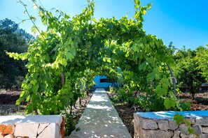 المنطقة المحيط�ة بالمنشأة