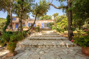 Áreas de la propiedad