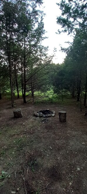 Fireplace - Quail Valley Run @ B Berry Farms (Elkland)