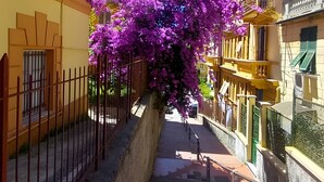 A narrow street with yellow buildings, a metal fence, and purple flowers. - La Casa Di Licia - Apartment in La Spezia (La Spezia)