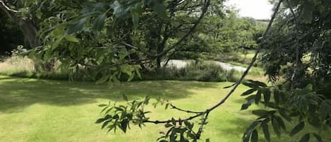 A well-maintained grassy area with trees and a clear sky.