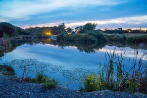 Miscellaneous - Foxglove - Luxurious Barn Conversion (Haverfordwest)