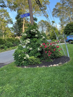 A landscaped garden with a variety of plants and flowers, a street sign, and a blue car parked nearby. - Walk to beach in this charming home with ac and wifi (Riverhead)
