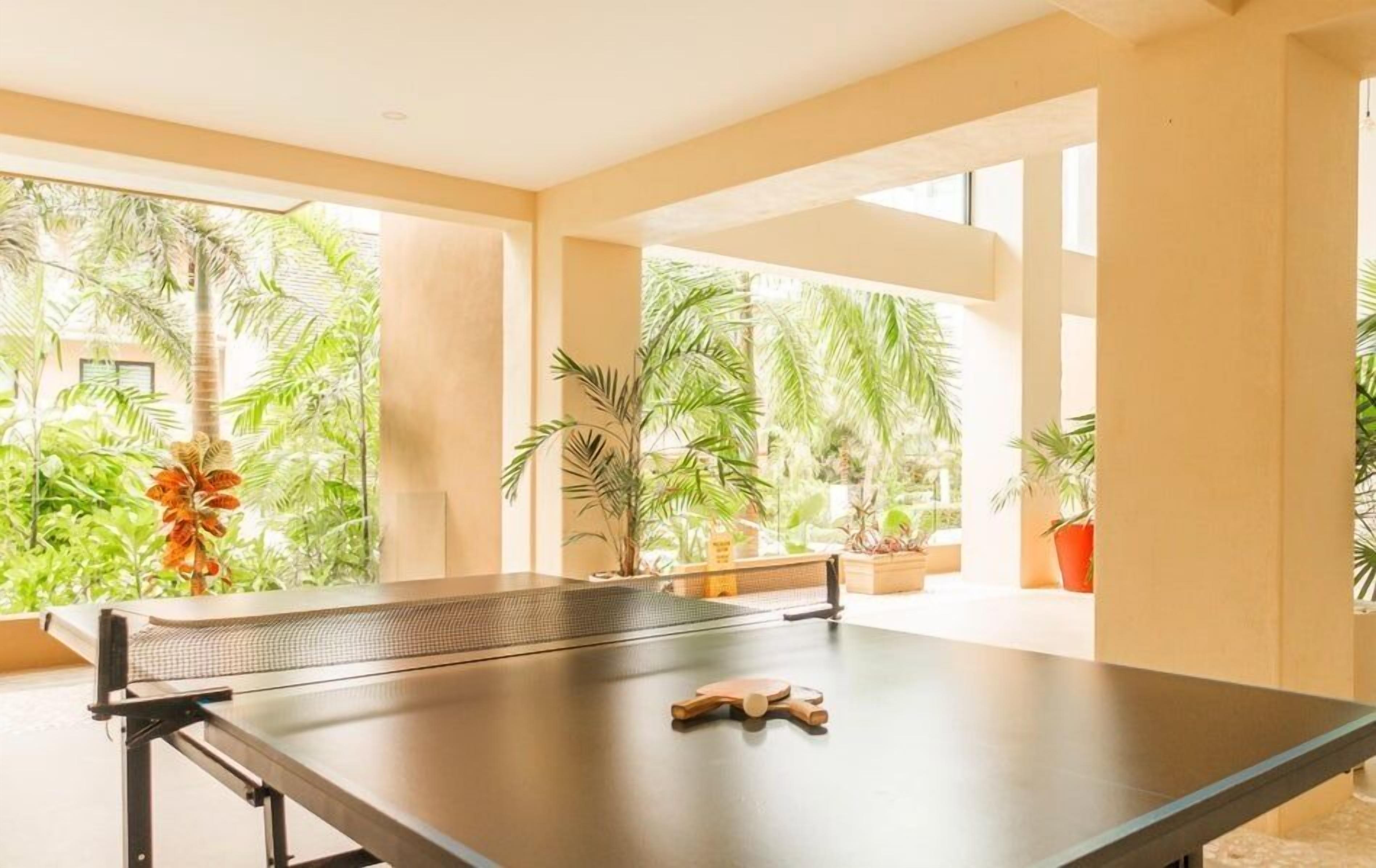 Mesa de pingue-pongue em um quarto com grandes janelas e plantas em vasos.