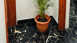 A corner with a potted plant, a power outlet, and a light switch on the wall. - hostal bode de lago rooms  #3 (Panajachel)