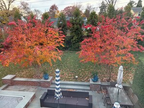 Outdoor dining - Entire 4 BR Home for Your Holiday Celebration (Wilmington)