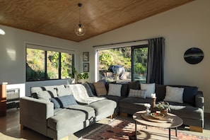 Smart TV, fireplace, books, stereo