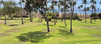 Beach view and easy beach access. Lovely Hawaiian- style loft condo with WiFi