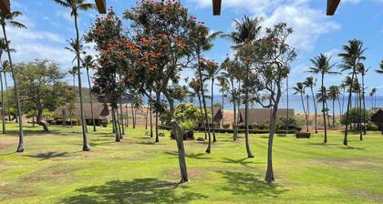 Beach view and easy beach access. Lovely Hawaiian- style loft condo with WiFi