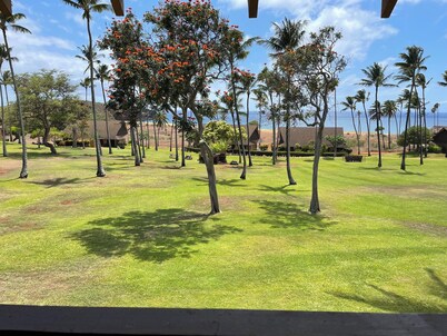 Beach view and easy beach access. Lovely Hawaiian- style loft condo with WiFi