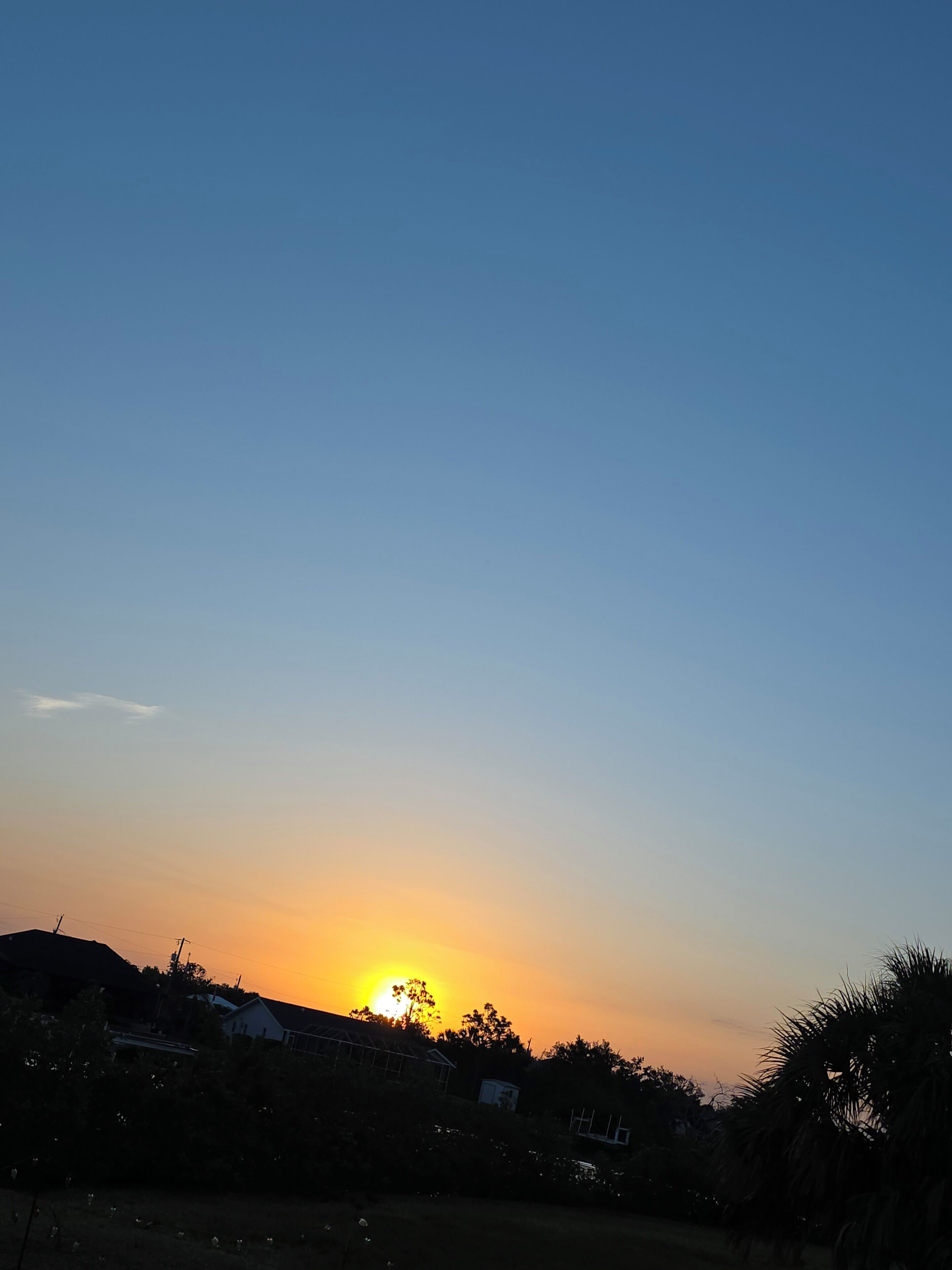 A sunset over a residential area with houses and trees.